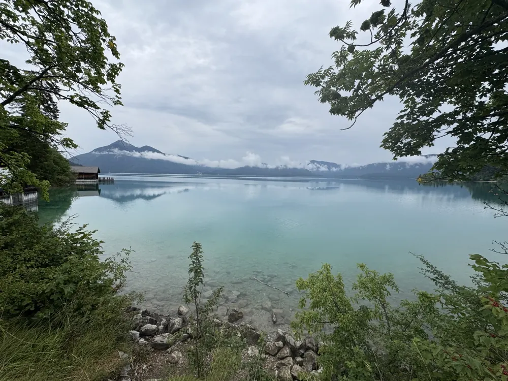 The clear water of the Walchensee through the trees